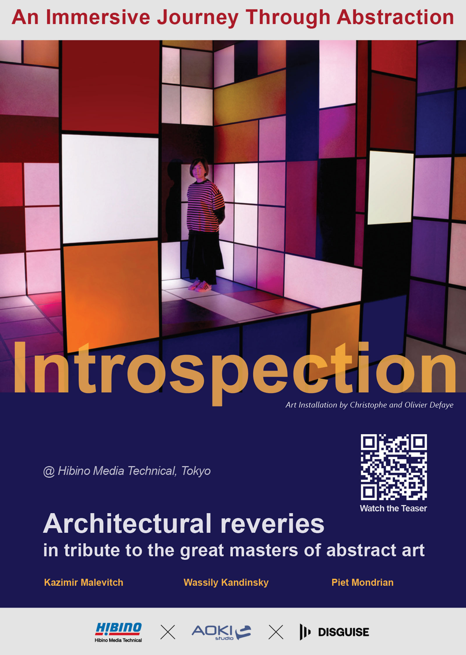 Affiche de l'installation Introspection